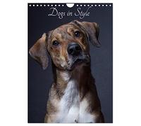 Dogs in Style (Wall Calendar 2026 DIN A4 portrait), CALVENDO 12 Month Wall Calendar: Portraits of beautiful dogs