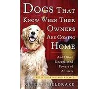 Dogs That Know When Their Owners Are Coming Home