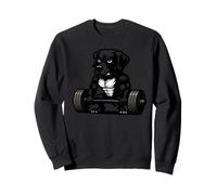 Dogue Allemand Haltérophilie Bodybuilder Entraînement Gym Amoureux des Chiens Sweatshirt