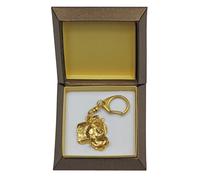Dogue argentin, Dogo argentino - Porte-clés doré avec chien dans boîte cadeau, d