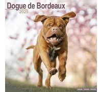 Dogue De Bordeaux Calendar 2025 Square Dog Breed Wall Calendar - 16 Month