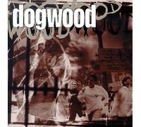 Dogwood - More Than Conquerors