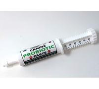 Dogzymes Pâte probiotique canine - Bactérie-enzyme bénéfique - 2,3 milliards de CFU/g - Poudre de miel séché biologique Saccharomyces boulardii (60 g)