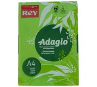 Rey Adagio - Lisse - 104 micromètres - vert intense - A4 (210 x 297 mm) - 80 g/m² - 500 feuille(s) ramette - papier pour reprographie (pack de 5) G