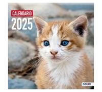 Dohe - Calendrier mural 2025-12 mois de janvier à décembre, format A3 (30 x 30 cm), avec planning annuel - Modèle Chats