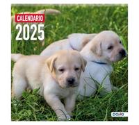 Dohe - Calendrier mural 2025-12 mois de janvier à décembre, format A3 (30 x 30 cm), avec planning annuel - Modèle chiens