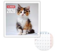 Dohe - Calendrier Mural 2026-12 Mois de Janvier à Décembre, Vue Mensuelle, 30x30 cm, Langue Espagnole, Reliure Agrafée, Espace pour Notes, Planification Annuelle, Papier Épais 120 g/m² - Chats
