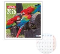 Dohe - Calendrier Mural 2026-12 Mois, Vue Mensuelle, 30x30 cm, Espagnol, Reliure Agrafée, Espace Notes, Planification Annuelle, Papier 120 g/m² - Oiseaux Exotiques