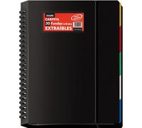 Dohe Classeur Avec 40 Pochettes Amovibles A4 (25 X 31 Cm), Anneaux Disques, 5 Intercalaires De Couleurs, Fermeture Élastique Fournitures De Bureau Et Scolaires