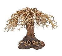 DOHSE Aquarstik Décoration d'aquarium I Weeping Willow 3 I Arbre Fait Main I 40 x 20 x 30 cm