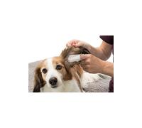 Trixie Tr-29392 Doigtiers de Soin Oreilles pour Animaux pour Chien 50 Pièces