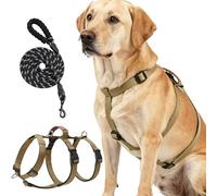 DOINEUFL Ensemble de harnais pour chien anti-éclatement, anti-traction, harnais de poitrine réglable avec poignée rembourrée et laisse Moxon réfléchissante, pour l'entraînement et les promenades du