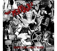 Doing the Lord'S Work