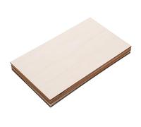 DOITOOL 10 Pièces de Panneaux Carrés en Bois Brut Beige 170x300x3mm pour Artisanat Simple à Sculpter et Graver, pour Projets DIY à Domicile