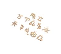 DOITOOL 12pièces Pendentif Zodiaque Cuivre Boucles Oreilles Diy Collier De Constellation Bijoux Décoratifs De Pendentifs Pour Hommes Et Femmes