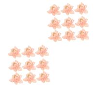 DOITOOL 2 Ensembles Lotus Flower Applique Patch Pour Vêtements Décorations Diy Broderie Pour Robes Jupes Sacs Et Plus 20 Pièces * 2