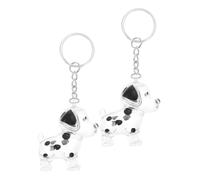 DOITOOL 2 pièces Boîte Commémorative pour Poils Animaux Capsule Transparente de Souvenir avec Porte-clés Collecteur Présent Remembrance pour Chien Stockage Poils et Mémoires Animaux