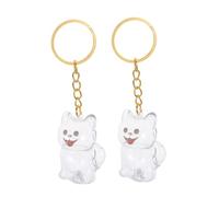 DOITOOL 2 pièces Boîte Mémo Poils Chien Porte-clés Pendentif Rangement Transparent pour Souvenir Animal Compagnon