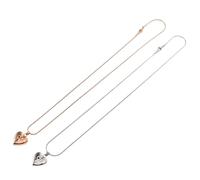 DOITOOL 2 Pièces Collier Urne pour Cendres Animaux Pendentif Cœur Acier Inoxydable Collier de Crémation Étanche avec Compartiment pour Poils Bijou Souvenir pour Amoureux des Chiens et