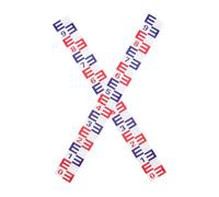 DOITOOL 2 pièces Échelle Niveau Eau Autocollante Aluminium avec Film Réfléchissant Jauge Résistante Corrosion pour Piscine et Bassin Règle de Mesure Étanche Facile à Poser