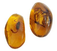 DOITOOL 2 Pièces Pendentif Ambre Insectes en Cire D'abeille, Forme Irrégulière, Résine Lisse, Facile à Enfiler pour Création de Bijoux et Fabrication de Pendentifs Couleur Aléatoire Style