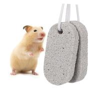 DOITOOL 2 Pièces Pierre à Mâcher Riche en Calcium pour Dents de Lapin et Petits Animaux Pierre Molaire Rectangulaire Favorise Hygiène Dentaire des Hamsters Chinchillas et Cochons Lot