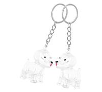 DOITOOL 2pièces Porte-clés Souvenir Poils de Chien Coffret Commémoratif pour Chien Cadeau Original pour Amoureux des Animaux Breloque pour Urne Funéraire