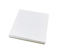 DOITOOL 500pièces Papier Alimentaire Anti-graisse Carré Absorbantes Huile Pour Snacks Pizzas Fritures Et Pâtisseries Pratiques Et Jetables