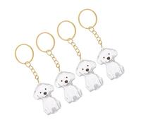 DOITOOL Boîte à Souvenirs Transparente pour Poils d'animaux Porte-clés 4 Pièces en Abs, Accessoire Commémoratif Portable pour Chiens et Chiots en Deuil