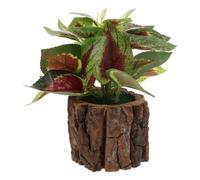 DOITOOL Bonsaï Artificiel en Pot en Plastique et Bois Design Créatif, Haute Simulation et Facile à Nettoyer, Décoration Intérieure pour Étagères et Maison