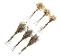 DOITOOL Bouquet de Fleurs Séchées Gypsophile 6 Pièces, Portable et Ne Fanant Pas, Décoration pour Fêtes d'anniversaire et Salons Couleur Aléatoire