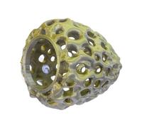 DOITOOL Cachette pour Crevettes et Poissons en Plastique Doré, Tunnel D'aquarium avec Structure sans Couture Bords Tranchants, Abri pour Aquarium et Terrarium