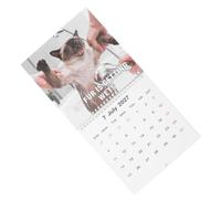 DOITOOL Calendrier Humoristique 2027 Chats Drôles Mural Mensuel