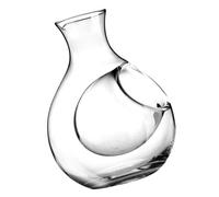 DOITOOL Carafe à Vin en Verre 250 Ml pour Icewine, Carafon à Whisky Transparent, Distributeur de Boissons Élégant pour Maison et Bar, pour Restaurant et Dégustation