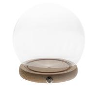 DOITOOL Cloche en Verre Lumineux 15 CM Socle en Bois Naturel Décoration d'Intérieur Couverture pour Fleurs Éternelles Éclairage LED à Interrupteur Cuivre Accessoire Décoratif sans