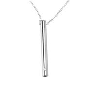 DOITOOL Collier Urne Cylindrique en Acier Inoxydable Pendentif pour Cendres d'animaux Bijou Commémoratif Élégant Chaîne Accessoire Funéraire pour Souvenir Solide