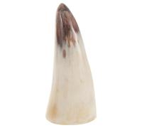 DOITOOL Corne à Boire Viking en Corne Naturelle de Bœuf, Tasse Rustique Polie Main, Capacité Polyvalente pour Repas et Décoration Médiévale
