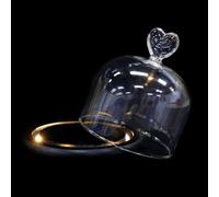 DOITOOL Couverture en Verre avec Fleurs Immortelles Préservées Base Noire avec Guirlande Lumineuse Intégrée Dimensions 10X11 CM de Cœur Décoration Intérieure pour Salon et Voiture