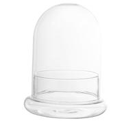 DOITOOL Ecological Glass Terrarium Vase with Lid for Plants and Flowers Decorative Display Dome Glass Pot for Home and Office Décor Creative DIY Moss Jar Large Transparent Planter