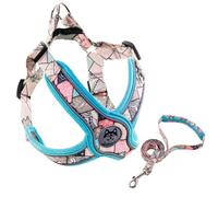 DOITOOL Ensemble Harnais Réfléchissant Anti-Fugue pour Chien Laisse Intégrée en Polyester, Facile à Ranger, Promenade du Chien de 2 à 14 Kg