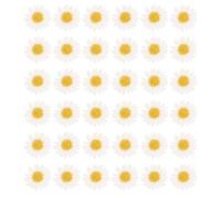 DOITOOL Fleurs pressées 60 pièces Fleurs séchées et pressées Naturelles Paquerettes Blanches pour Marque-Pages Faits Main et Accessoires artisanaux