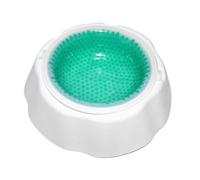 DOITOOL Gamelle pour Animaux de Compagnie Distributeur de Nourriture pour Chat Bol avec Gel Réfrigérant