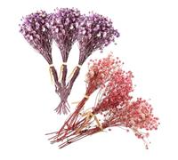 DOITOOL Lot de 6 Bouquets Mini de Gypsophiles Séchées Naturelles, Décoration Mariage et Maison, Fleurs Séchées Violettes et Rose Foncé 12 Cm, Centre de Table et DIY Floral