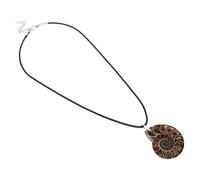 DOITOOL Pendentif En Pierre En Spirale Charmes De Bijoux D'ammonite Spécimen De Bijoux D'ammonite Charmes Du Spécimen De Coquillage Spécimen D'ammonite Naturel Fossile De Conque Naturel