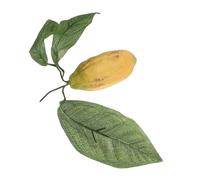 DOITOOL Plastique Cabosse de Cacao Artificielle Réaliste pour Vitrine