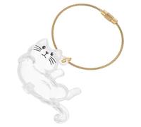 DOITOOL Porte-clés Capsule Transparent pour Poils Animaux Boîte de Rangement Compacte et Créative pour Souvenirs de Poils de Chien et Chat Accessoire Pratique et Ludique pour Amoureux des