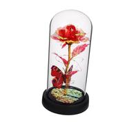 DOITOOL Rose Éternelle sous Cloche en Verre Lumières LED Multicolores Décoration Intérieure Romantique pour Bureau et Chambre Présent Saint-Valentin Original et Solide Fleurs Séchées