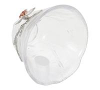 DOITOOL Tasse à Thé Japonaise en Verre Motif Fleur de Prunier, Résistance la Chaleur, Verre Transparent 200 Ml, Gobelet à Boire Élégant pour Maison et Réceptions