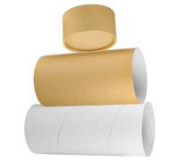 DOITOOL Urne Funéraire Écologique en Carton Kraft 10X26 CM pour Cendres de Chat et Petit Chien Récipient pour Dispersion des Cendres Boîte Commémorative Résistante à L'Humidité Usage