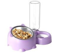 Doiyislem Ensemble de bols de nourriture et d'eau pour chat, bol pour animaux de compagnie | Plat pour animaux incliné à 16 degrés avec distributeur d'eau | Plat amovible pour chat, bol d'alimentation
